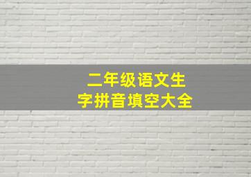 二年级语文生字拼音填空大全