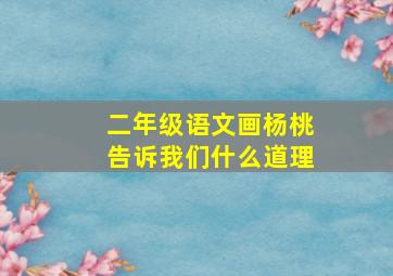 二年级语文画杨桃告诉我们什么道理