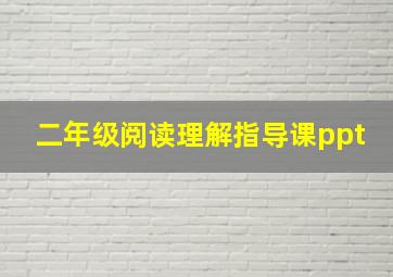 二年级阅读理解指导课ppt