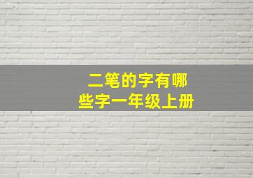 二笔的字有哪些字一年级上册