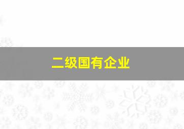 二级国有企业