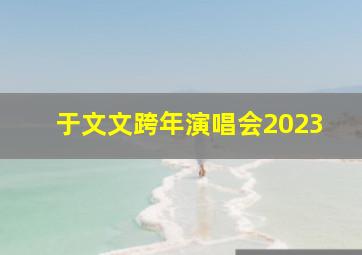 于文文跨年演唱会2023