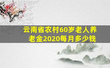 云南省农村60岁老人养老金2020每月多少钱