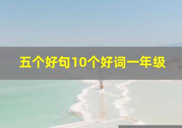 五个好句10个好词一年级