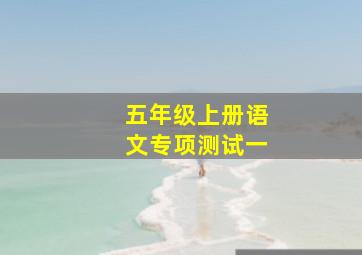 五年级上册语文专项测试一