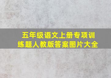 五年级语文上册专项训练题人教版答案图片大全