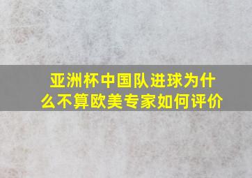 亚洲杯中国队进球为什么不算欧美专家如何评价