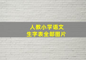 人教小学语文生字表全部图片