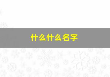 什么什么名字