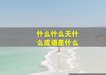 什么什么天什么成语是什么