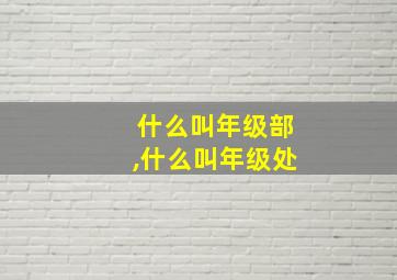 什么叫年级部,什么叫年级处