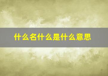 什么名什么是什么意思