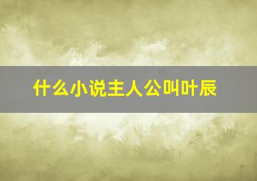 什么小说主人公叫叶辰