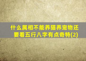 什么属相不能养猫养宠物还要看五行八字有点奇特(2)