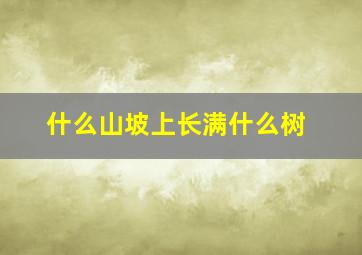 什么山坡上长满什么树