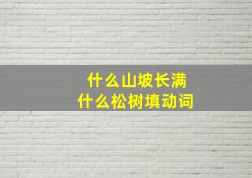 什么山坡长满什么松树填动词