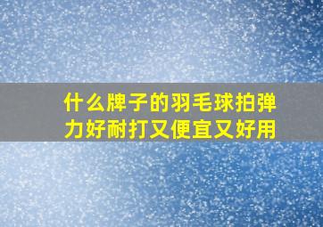 什么牌子的羽毛球拍弹力好耐打又便宜又好用