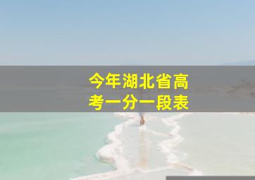 今年湖北省高考一分一段表