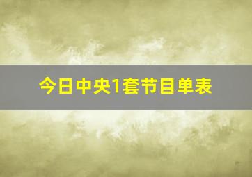 今日中央1套节目单表