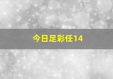 今日足彩任14