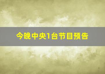 今晚中央1台节目预告