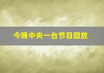 今晚中央一台节目回放