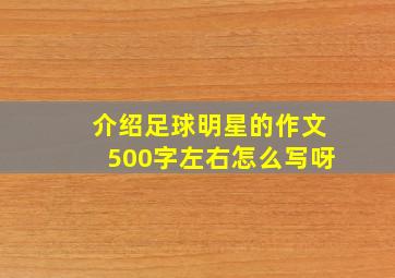 介绍足球明星的作文500字左右怎么写呀