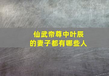 仙武帝尊中叶辰的妻子都有哪些人