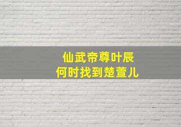 仙武帝尊叶辰何时找到楚萱儿