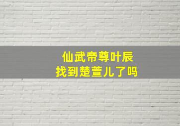 仙武帝尊叶辰找到楚萱儿了吗