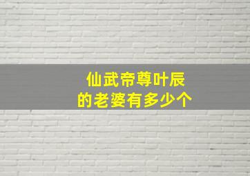 仙武帝尊叶辰的老婆有多少个