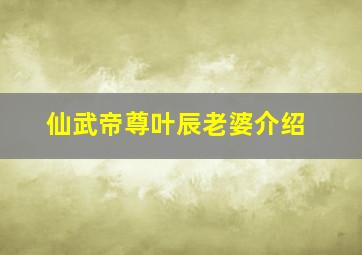 仙武帝尊叶辰老婆介绍