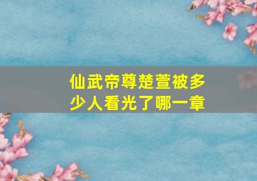 仙武帝尊楚萱被多少人看光了哪一章