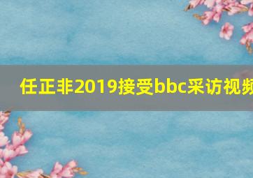 任正非2019接受bbc采访视频