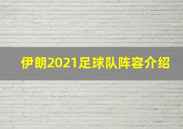 伊朗2021足球队阵容介绍