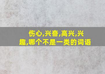 伤心,兴奋,高兴,兴趣,哪个不是一类的词语