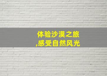 体验沙漠之旅,感受自然风光