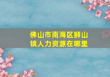 佛山市南海区狮山镇人力资源在哪里