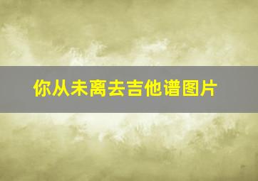 你从未离去吉他谱图片