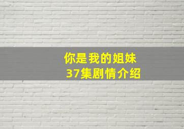 你是我的姐妹37集剧情介绍