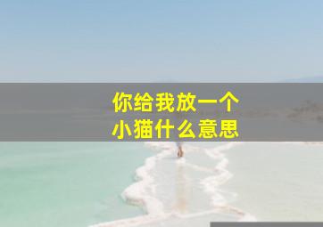 你给我放一个小猫什么意思