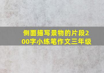 侧面描写景物的片段200字小练笔作文三年级