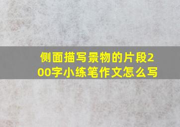 侧面描写景物的片段200字小练笔作文怎么写