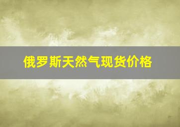 俄罗斯天然气现货价格