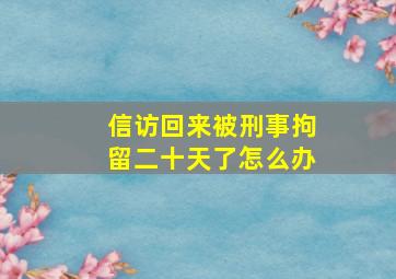 信访回来被刑事拘留二十天了怎么办