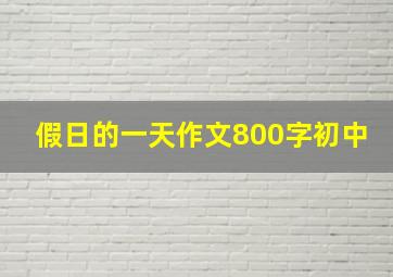 假日的一天作文800字初中