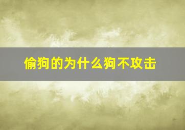 偷狗的为什么狗不攻击