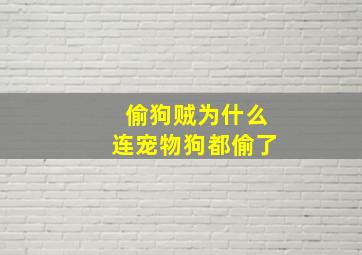 偷狗贼为什么连宠物狗都偷了