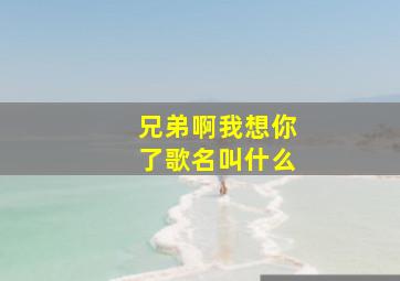 兄弟啊我想你了歌名叫什么