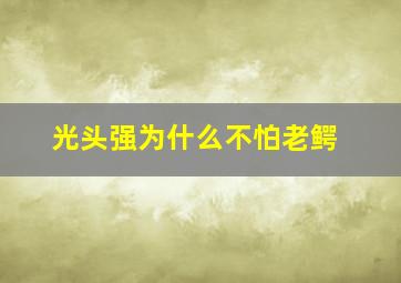 光头强为什么不怕老鳄